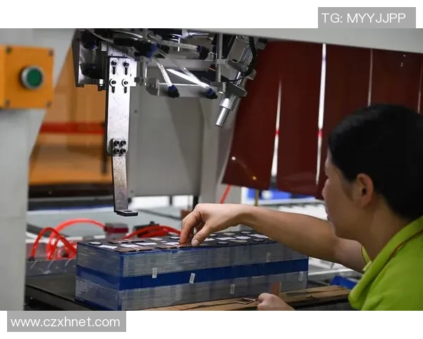 体坛退役潮趋势探讨